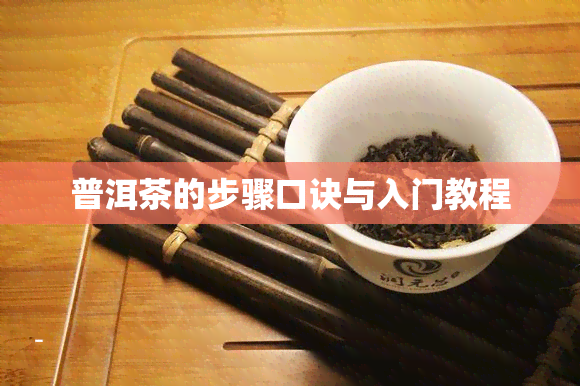 普洱茶的步骤口诀与入门教程