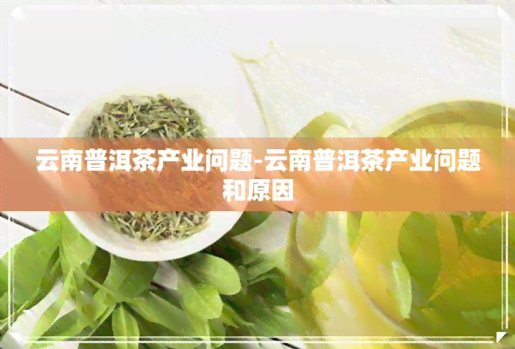 云南普洱茶产业问题-云南普洱茶产业问题和原因