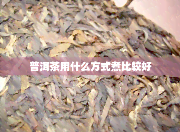 普洱茶用什么方式煮比较好