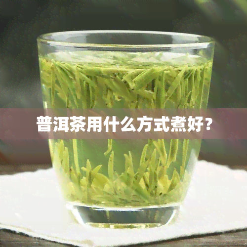 普洱茶用什么方式煮好？