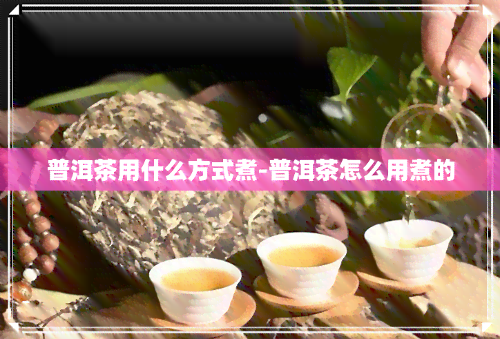 普洱茶用什么方式煮-普洱茶怎么用煮的