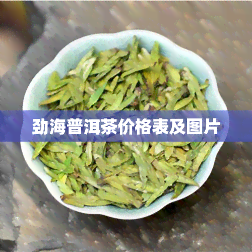 劲海普洱茶价格表及图片