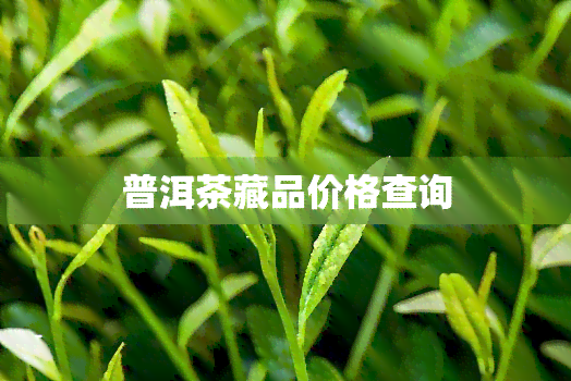 普洱茶藏品价格查询