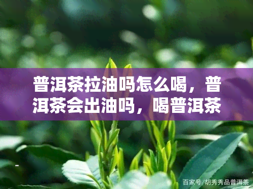 普洱茶拉油吗怎么喝，普洱茶会出油吗，喝普洱茶拉屎有油