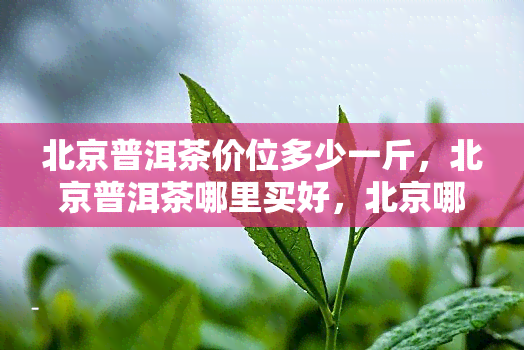 北京普洱茶价位多少一斤，北京普洱茶哪里买好，北京哪里卖普洱茶好