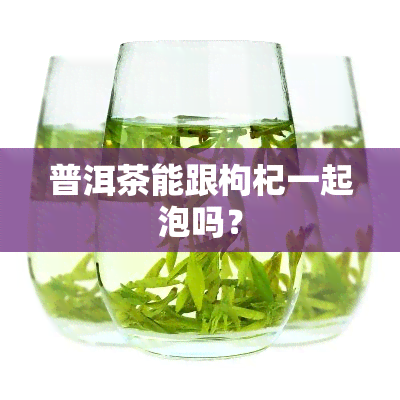 普洱茶能跟枸杞一起泡吗？