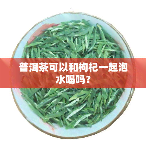 普洱茶可以和枸杞一起泡水喝吗？