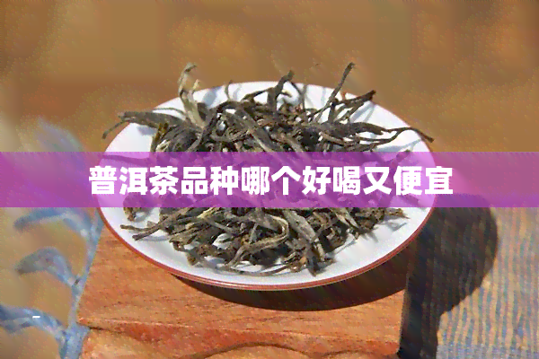 普洱茶品种哪个好喝又便宜