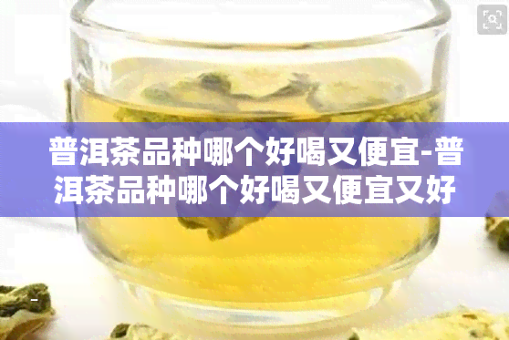 普洱茶品种哪个好喝又便宜-普洱茶品种哪个好喝又便宜又好喝