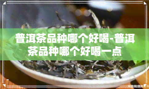 普洱茶品种哪个好喝-普洱茶品种哪个好喝一点