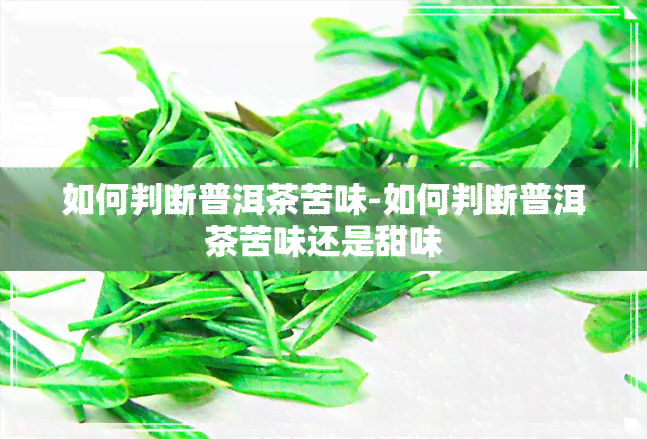 如何判断普洱茶苦味-如何判断普洱茶苦味还是甜味