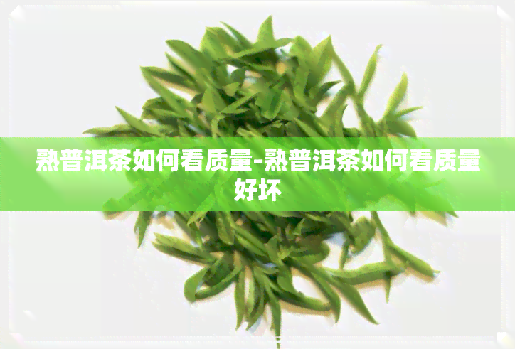 熟普洱茶如何看质量-熟普洱茶如何看质量好坏