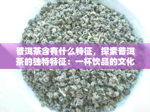 普洱茶含有什么特征，探索普洱茶的独特特征：一杯饮品的文化和味觉之旅