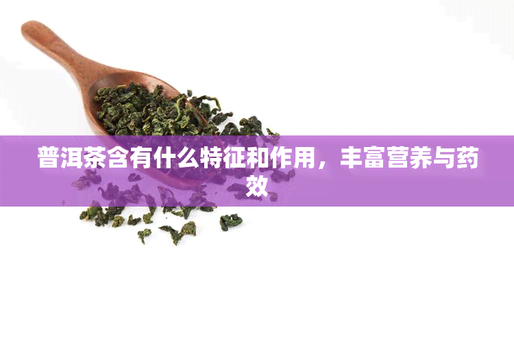 普洱茶含有什么特征和作用，丰富营养与效