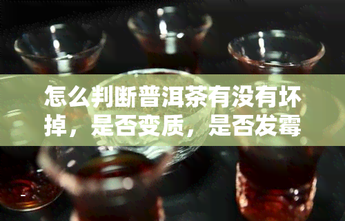 怎么判断普洱茶有没有坏掉，是否变质，是否发霉