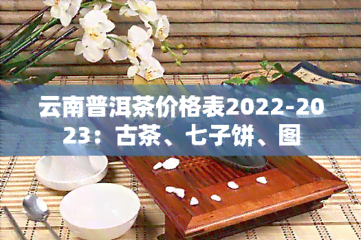 云南普洱茶价格表2022-2023：古茶、七子饼、图