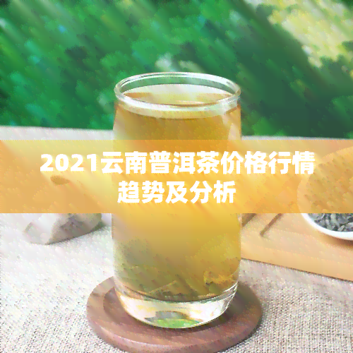 2021云南普洱茶价格行情趋势及分析