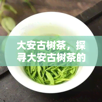 大安古树茶，探寻大安古树茶的神秘魅力