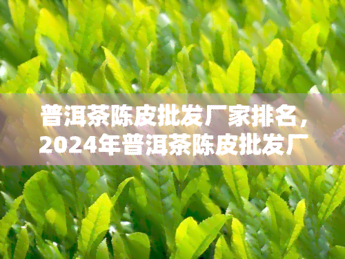 普洱茶陈皮批发厂家排名，2024年普洱茶陈皮批发厂家排名揭晓：谁是行业翘楚？