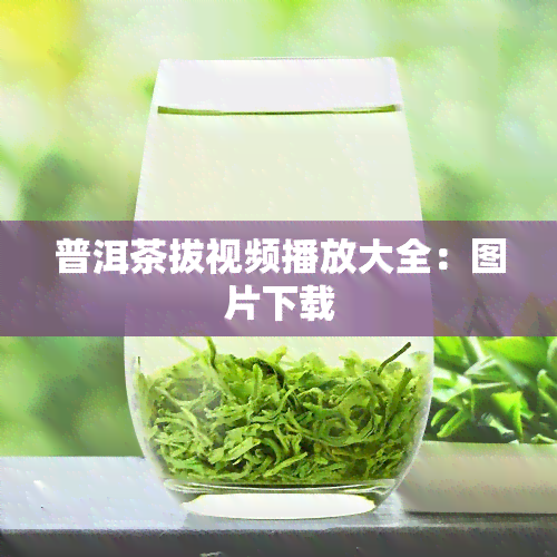 普洱茶拔视频播放大全：图片下载