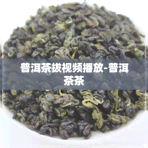 普洱茶拔视频播放-普洱茶茶