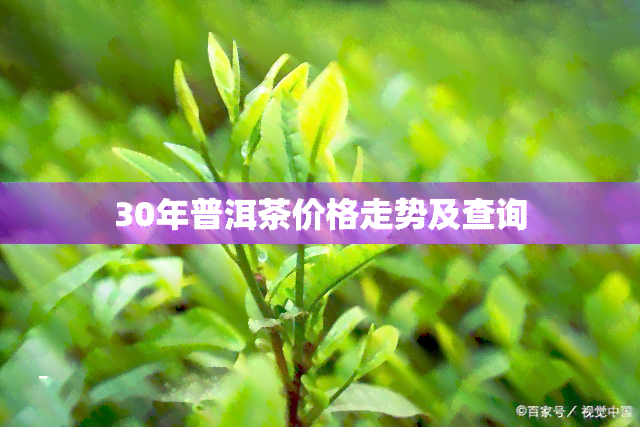 30年普洱茶价格走势及查询