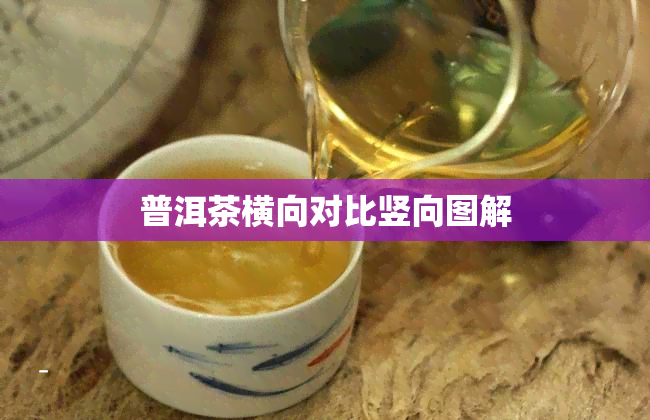 普洱茶横向对比竖向图解