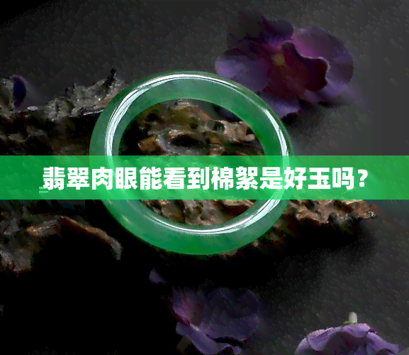 翡翠肉眼能看到棉絮是好玉吗？