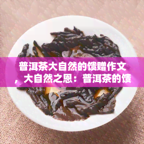 普洱茶大自然的馈赠作文，大自然之恩：普洱茶的馈赠与感悟