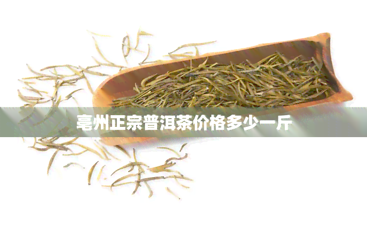 亳州正宗普洱茶价格多少一斤