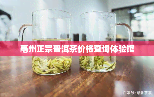 亳州正宗普洱茶价格查询体验馆