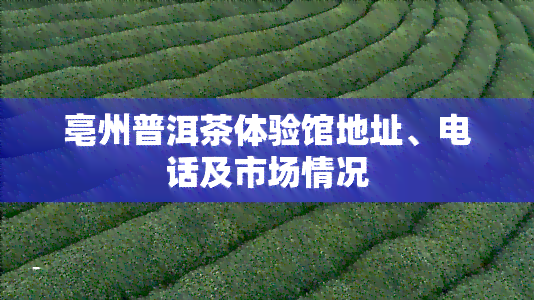 亳州普洱茶体验馆地址、电话及市场情况