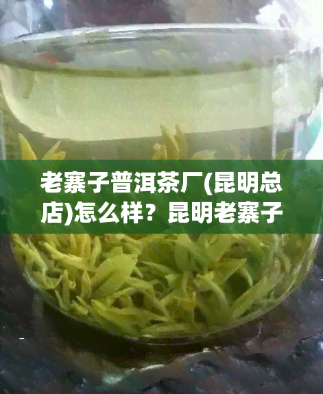 老寨子普洱茶厂(昆明总店)怎么样？昆明老寨子茶叶