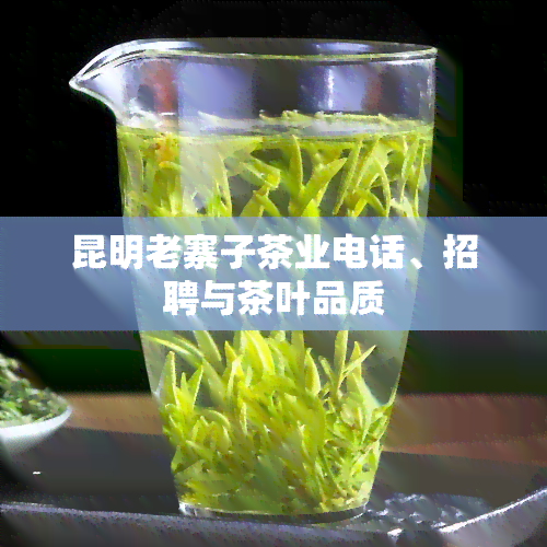 昆明老寨子茶业电话、招聘与茶叶品质