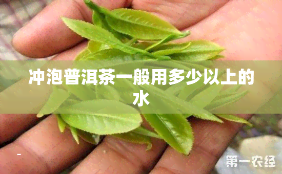 冲泡普洱茶一般用多少以上的水