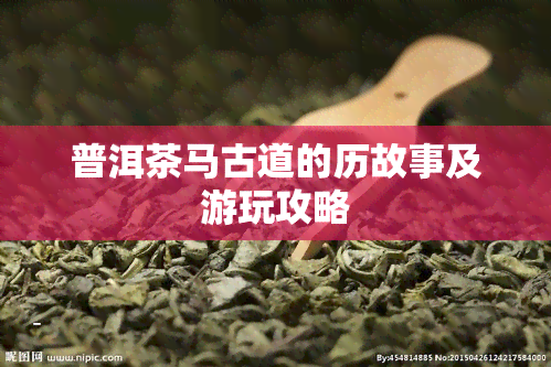 普洱茶马古道的历故事及游玩攻略