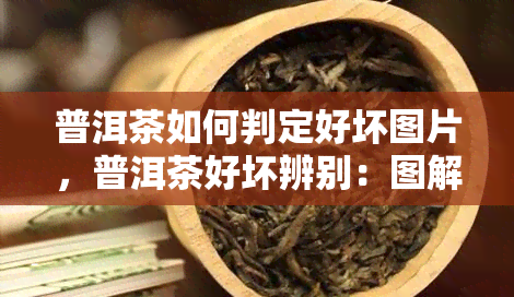 普洱茶如何判定好坏图片，普洱茶好坏辨别：图解指南！