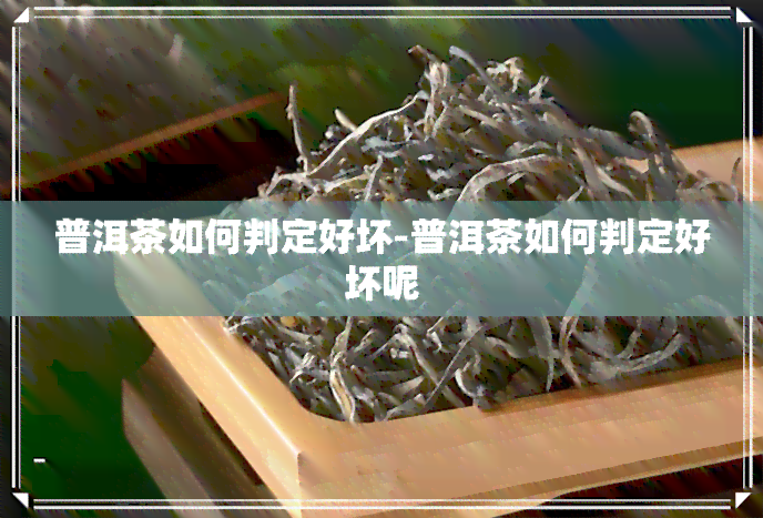 普洱茶如何判定好坏-普洱茶如何判定好坏呢