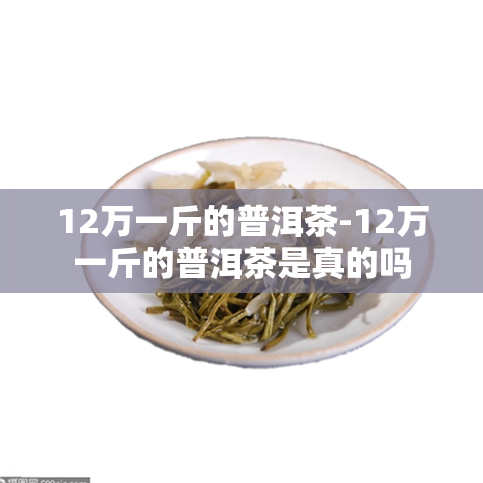 12万一斤的普洱茶-12万一斤的普洱茶是真的吗