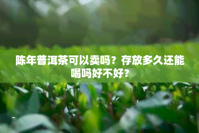 陈年普洱茶可以卖吗？存放多久还能喝吗好不好？