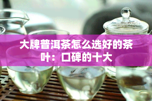 大牌普洱茶怎么选好的茶叶：口碑的十大