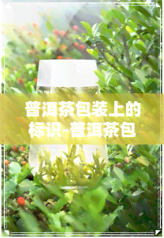 普洱茶包装上的标识-普洱茶包装上的标识是什么