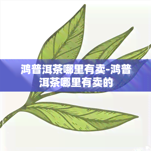 鸿普洱茶哪里有卖-鸿普洱茶哪里有卖的