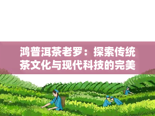 鸿普洱茶老罗：探索传统茶文化与现代科技的完美融合