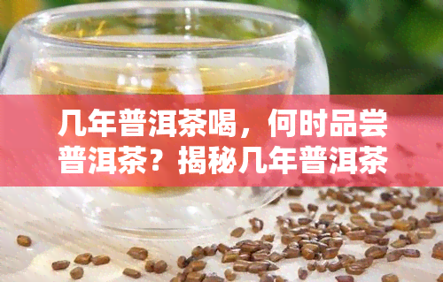 几年普洱茶喝，何时品尝普洱茶？揭秘几年普洱茶的品饮时机