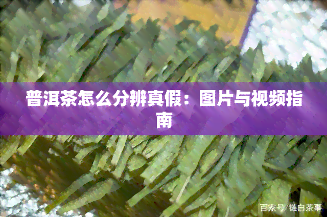 普洱茶怎么分辨真假：图片与视频指南