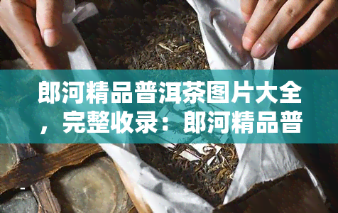 郎河精品普洱茶图片大全，完整收录：郎河精品普洱茶图片大全