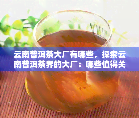 云南普洱茶大厂有哪些，探索云南普洱茶界的大厂：哪些值得关注？