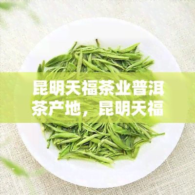 昆明天福茶业普洱茶产地，昆明天福茶业：探寻普洱茶的故乡