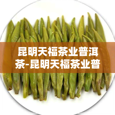 昆明天福茶业普洱茶-昆明天福茶业普洱茶怎么样